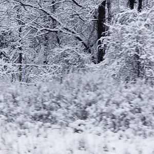 Meet your Posher, Marie